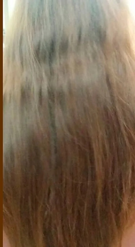 Before: dry, frizzy hair